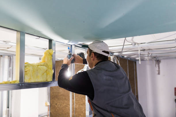 Best Cellulose Insulation in Gra Forks Af, ND